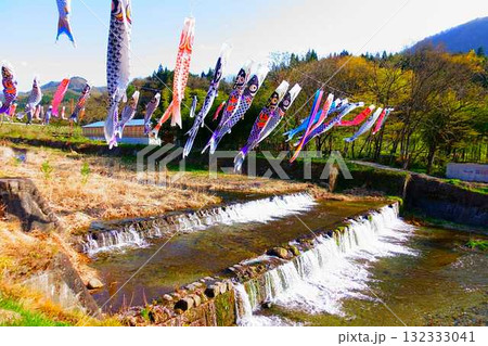 こいのぼり　鯉のぼり　鯉幟　高瀬川　山形市 132333041