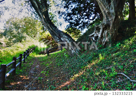二宮堰親水公園 二宮堰親水公園 132333215