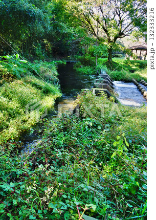 二宮堰親水公園 二宮堰親水公園 132333216