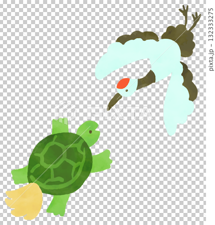 鶴と亀の水彩風手描きイラスト 鶴と亀の水彩風手描きイラスト 132333275