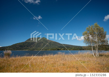 【群馬】草紅葉の尾瀬ヶ原 【群馬】草紅葉の尾瀬ヶ原 132333286