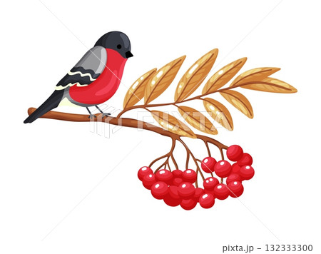 Bullfinch on Rowan Branch Clipart Bullfinch on Rowan Branch Clipart 132333300