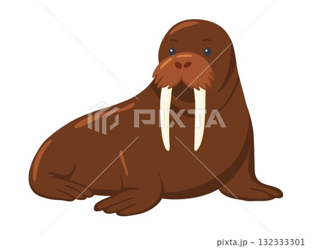 Large Walrus Marine Mammal Isolated Illustration 132333301