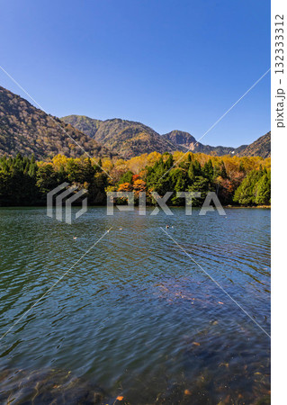 秋の奥日光　湯ノ湖の湖畔 132333312