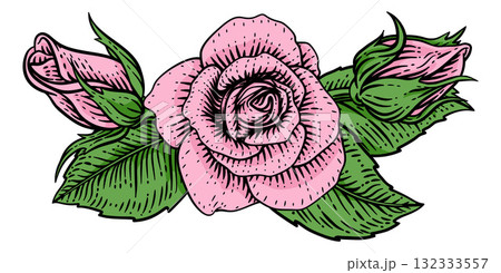 Rose Flower Woodcut Engraved Etching Illustration Rose Flower Woodcut Engraved Etching Illustration 132333557