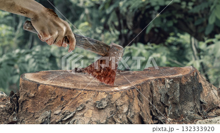 Zombie hand with wounds and blood holding an axe on a tree stump surface with blurred forest background. Zombie, devil, evil, satan, or monster hand. Concept of Spooky Halloween Zombie hand with wounds and blood holding an axe on a tree stump surface with blurred forest background. Zombie, devil, evil, satan, or monster hand. Concept of Spooky Halloween 132333920