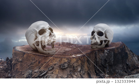 Closeup view of human head skulls on a tree stump surface with dark and dramatic cloudscape background. The scene is scary and mysterious. Concept of Spooky Halloween Closeup view of human head skulls on a tree stump surface with dark and dramatic cloudscape background. The scene is scary and mysterious. Concept of Spooky Halloween 132333944