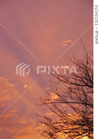 秋の夕焼け空 132334151