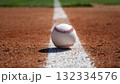 Baseball Close-Up on the Field's White Cut Line 132334576