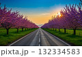 Blossoming Cherry Trees Along a Beautiful Scenic Road Path 132334583