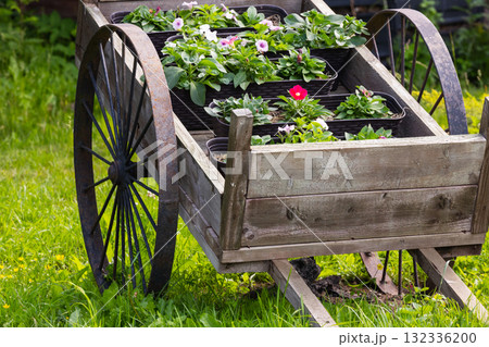 A weathered wooden wagon filled with colorful flowers rests on a grassy yard 132336200