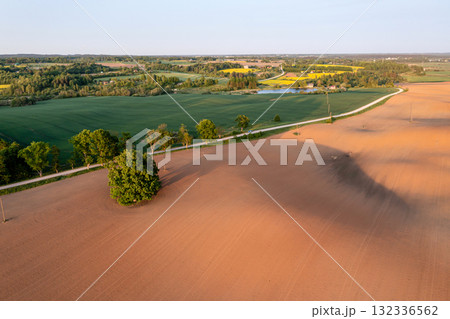 Aerial landscape with a lonely tree mowed cereal in the field of sunny day 132336562