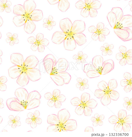 Seamless pattern of pink cherry blossoms. Hand-drawn illustration with colored pencils. Design for fabric, cards, menus, cookbooks, and textiles 132336700