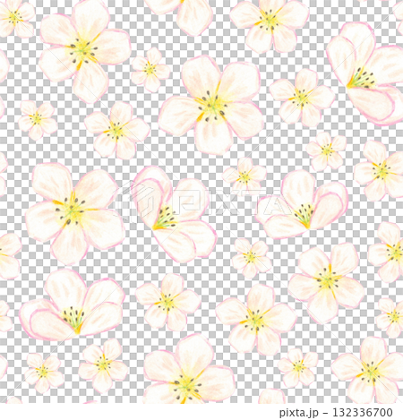 Seamless pattern of pink cherry blossoms. Hand-drawn illustration with colored pencils. Design for fabric, cards, menus, cookbooks, and textiles 132336700