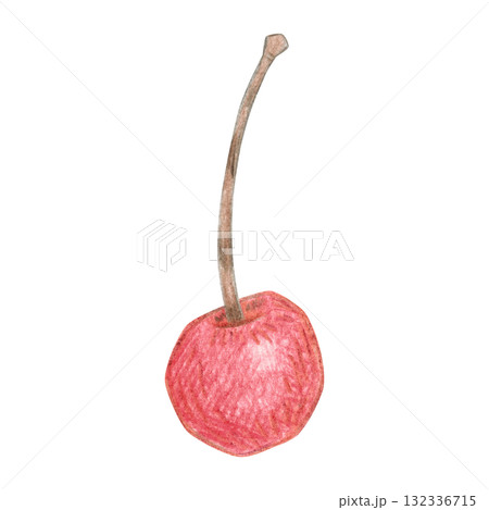 Cherry, ripe, delicious, red. Hand-drawn illustration with colored pencils, cartoonish. Design for stickers, scrapbooking, prints, or menus. Fruit, juicy, natural, berry 132336715