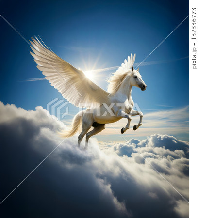 飛翔する白馬 132336773