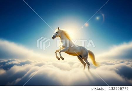 飛翔する白馬 飛翔する白馬 132336775