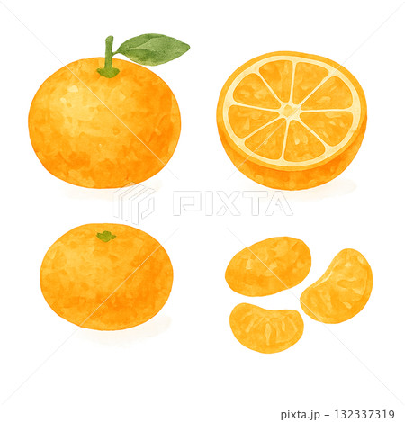水彩みかんイラスト(丸ごと・半分・皮むき・房の4点セット) 水彩みかんイラスト(丸ごと・半分・皮むき・房の4点セット) 132337319