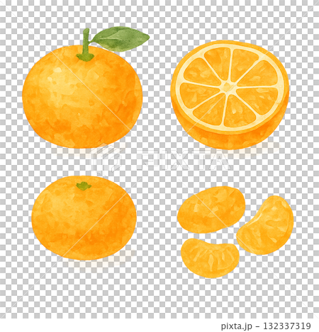 水彩みかんイラスト(丸ごと・半分・皮むき・房の4点セット) 水彩みかんイラスト(丸ごと・半分・皮むき・房の4点セット) 132337319