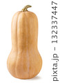Ripe long pumpkin on a white background. Isolated 132337447