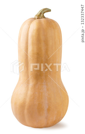 Ripe long pumpkin on a white background. Isolated Ripe long pumpkin on a white background. Isolated 132337447