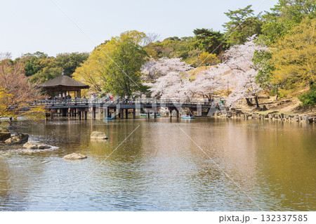 春の古都奈良　日本さくら名所100選　奈良公園　鷺池 132337585
