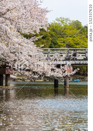 春の古都奈良 日本さくら名所100選 奈良公園 鷺池 春の古都奈良 日本さくら名所100選 奈良公園 鷺池 132337610
