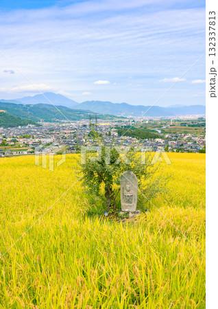 田毎観音と黄金色の水田と善光寺平【姨捨の棚田】 132337813