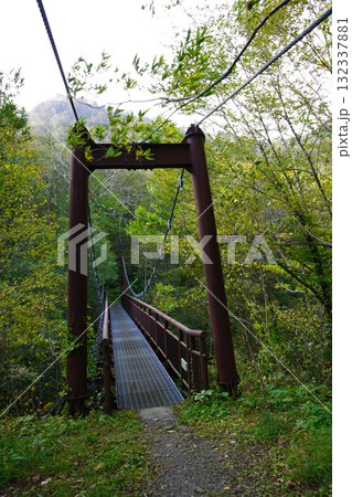 秋の南暑寒別岳登山道~吊り橋 秋の南暑寒別岳登山道~吊り橋 132337881