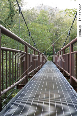 秋の南暑寒別岳登山道～吊り橋 132337882
