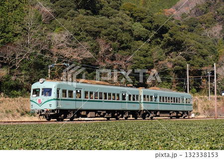 大井川鉄道 茶畑と南海21000系 大井川鉄道 茶畑と南海21000系 132338153