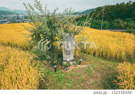黄金色の四十八枚田と田毎観音【姨捨の棚田】 132338388