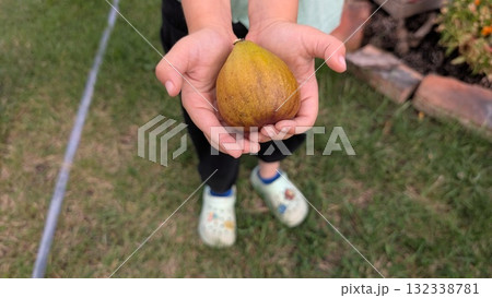 A Child Excitedly Holding a Unique and Colorful Fruit While Standing in a Vibrant Garden 132338781