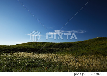 ススキの曽爾高原 132338795