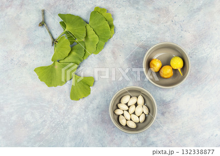 Herbal medicine, ginkgo biloba. Herbal medicine, ginkgo biloba. 132338877