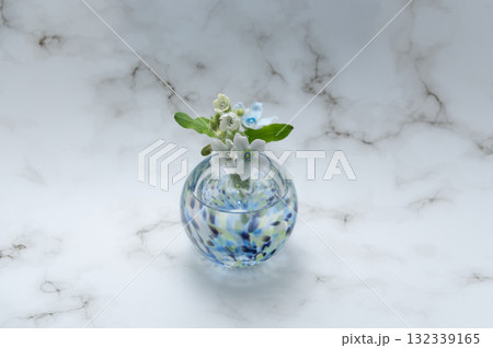 寒色透明なガラスの一輪挿しに生けられたブルースター(中配置) 寒色透明なガラスの一輪挿しに生けられたブルースター(中配置) 132339165