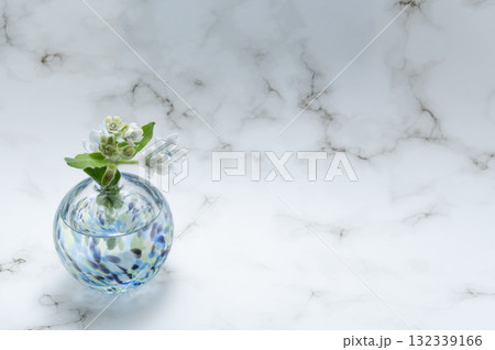 寒色透明なガラスの一輪挿しに生けられたブルースター(左配置) 寒色透明なガラスの一輪挿しに生けられたブルースター(左配置) 132339166