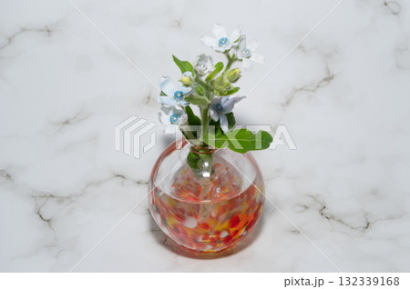 暖色透明なガラスの一輪挿しに生けられたブルースター(中配置) 暖色透明なガラスの一輪挿しに生けられたブルースター(中配置) 132339168