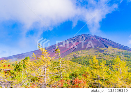 【山梨県】富士山スバルライン奥庭 紅葉が始まった奥庭 夕景 【山梨県】富士山スバルライン奥庭 紅葉が始まった奥庭 夕景 132339350
