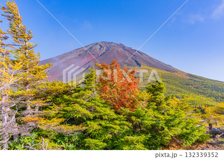 【山梨県】富士山スバルライン奥庭 紅葉が始まった奥庭 夕景 【山梨県】富士山スバルライン奥庭 紅葉が始まった奥庭 夕景 132339352