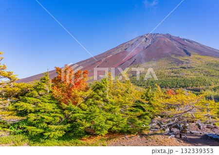 【山梨県】富士山スバルライン奥庭 紅葉が始まった奥庭 夕景 【山梨県】富士山スバルライン奥庭 紅葉が始まった奥庭 夕景 132339353