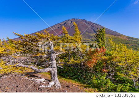 【山梨県】富士山スバルライン奥庭 紅葉が始まった奥庭 夕景 【山梨県】富士山スバルライン奥庭 紅葉が始まった奥庭 夕景 132339355