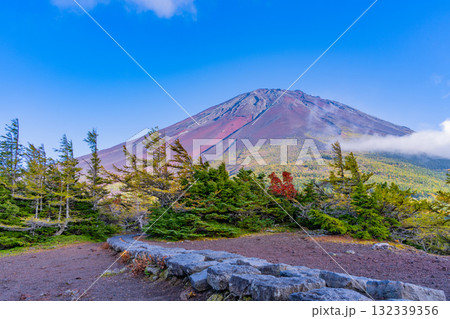 【山梨県】富士山スバルライン奥庭 紅葉が始まった奥庭 夕景 【山梨県】富士山スバルライン奥庭 紅葉が始まった奥庭 夕景 132339356