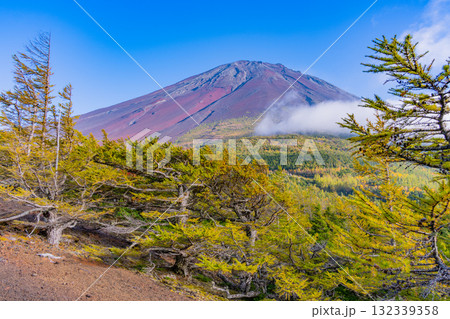 【山梨県】富士山スバルライン奥庭　紅葉が始まった奥庭　夕景 132339358