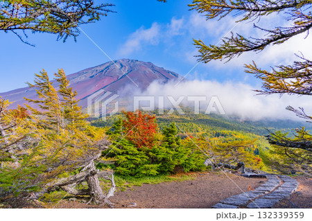 【山梨県】富士山スバルライン奥庭　紅葉が始まった奥庭　夕景 132339359