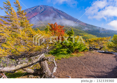 【山梨県】富士山スバルライン奥庭　紅葉が始まった奥庭　夕景 132339360