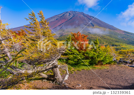 【山梨県】富士山スバルライン奥庭　紅葉が始まった奥庭　夕景 132339361