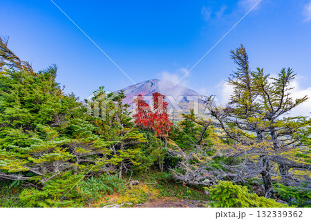 【山梨県】富士山スバルライン奥庭 紅葉が始まった奥庭 夕景 【山梨県】富士山スバルライン奥庭 紅葉が始まった奥庭 夕景 132339362