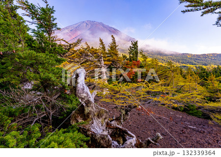【山梨県】富士山スバルライン奥庭 紅葉が始まった奥庭 夕景 【山梨県】富士山スバルライン奥庭 紅葉が始まった奥庭 夕景 132339364
