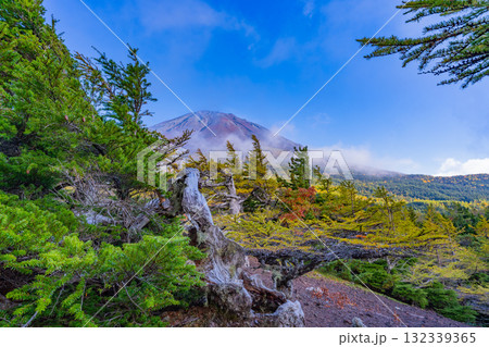 【山梨県】富士山スバルライン奥庭　紅葉が始まった奥庭　夕景 132339365